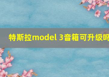 特斯拉model 3音箱可升级吗